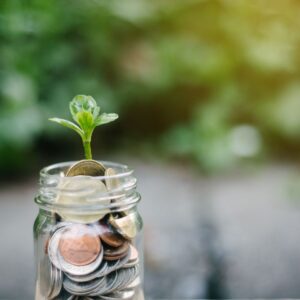 Benefit of booking with a KVI travel agent: save money. Money can grow like plants.