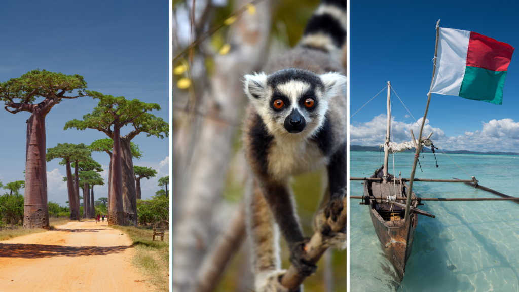 Pictures of Madagascar